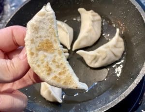 cooking prawn pork potstickers