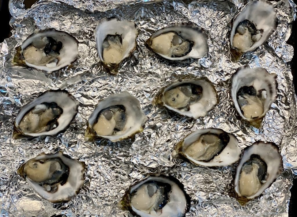 oysters