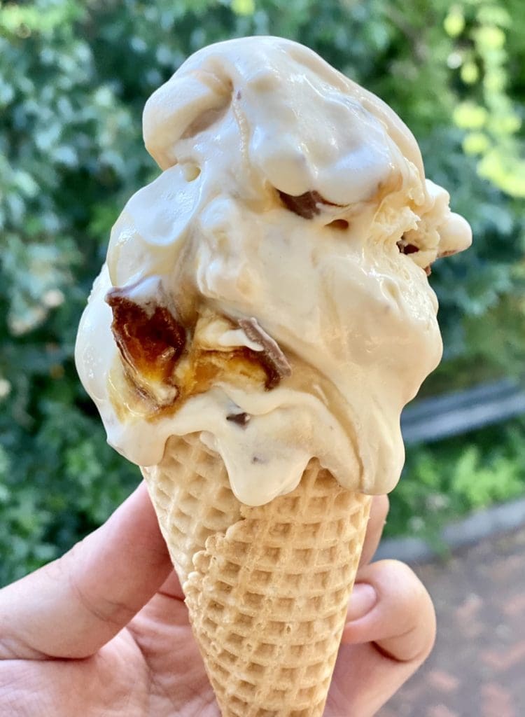 Hokey Pokey Ice Cream