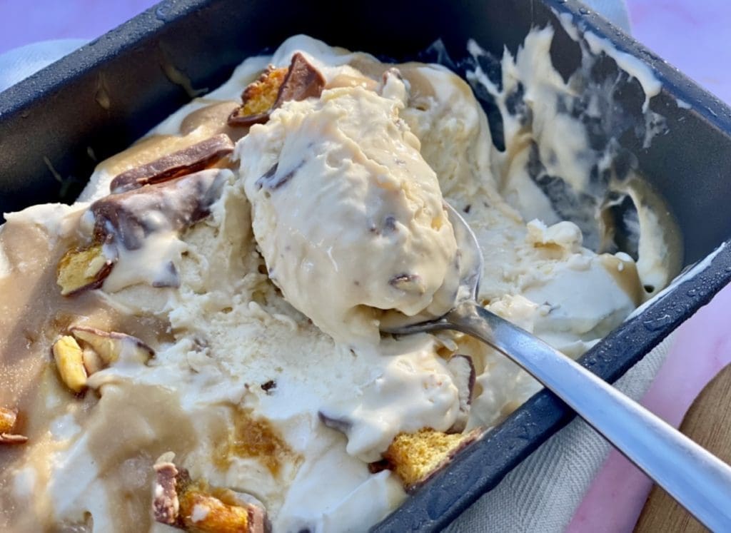 Hokey Pokey Ice Cream