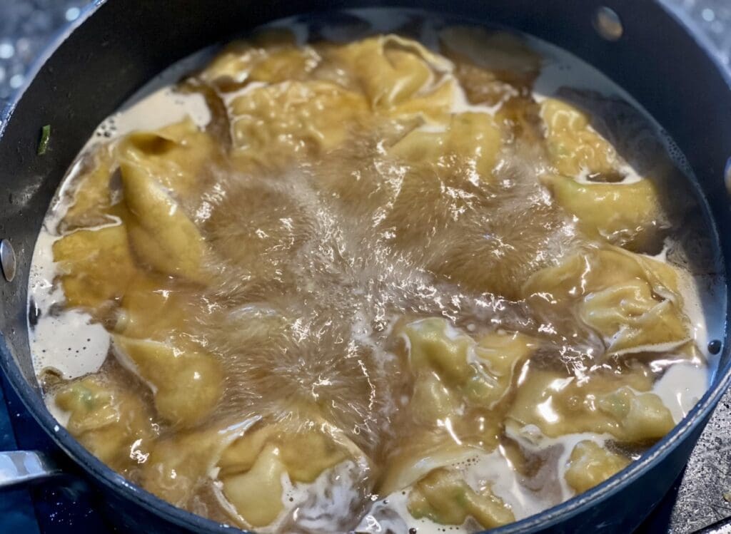 Kimchi Dumplings