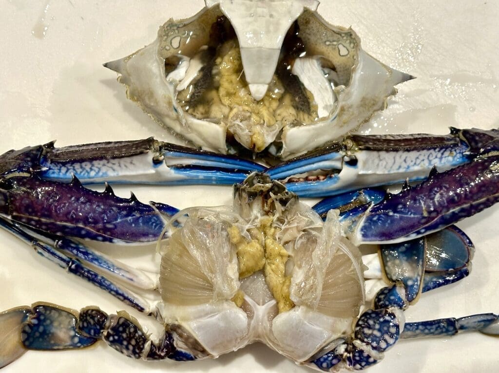 How to prepare Blue Swimmer Crabs