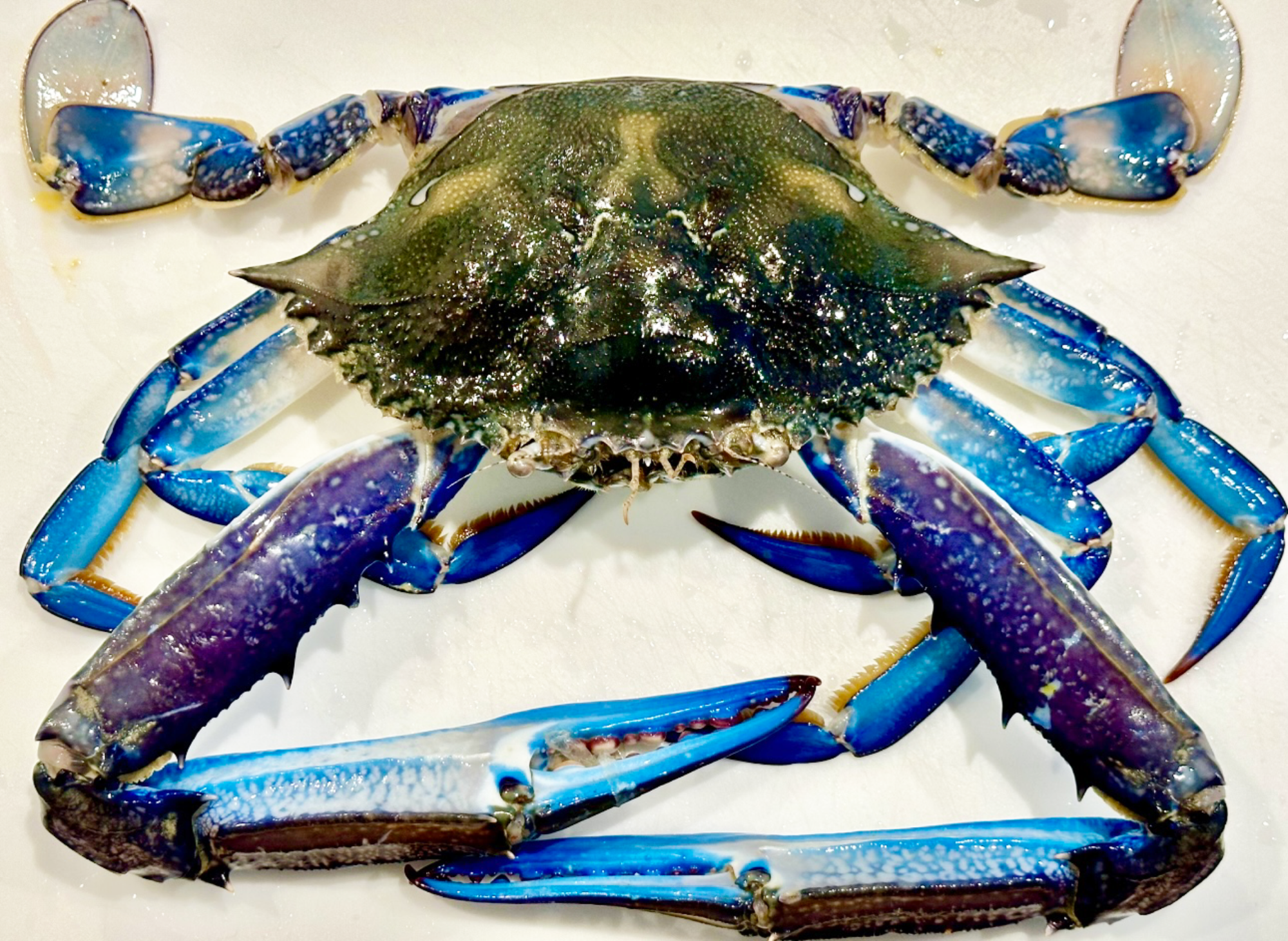 How to prepare Blue Swimmer Crabs