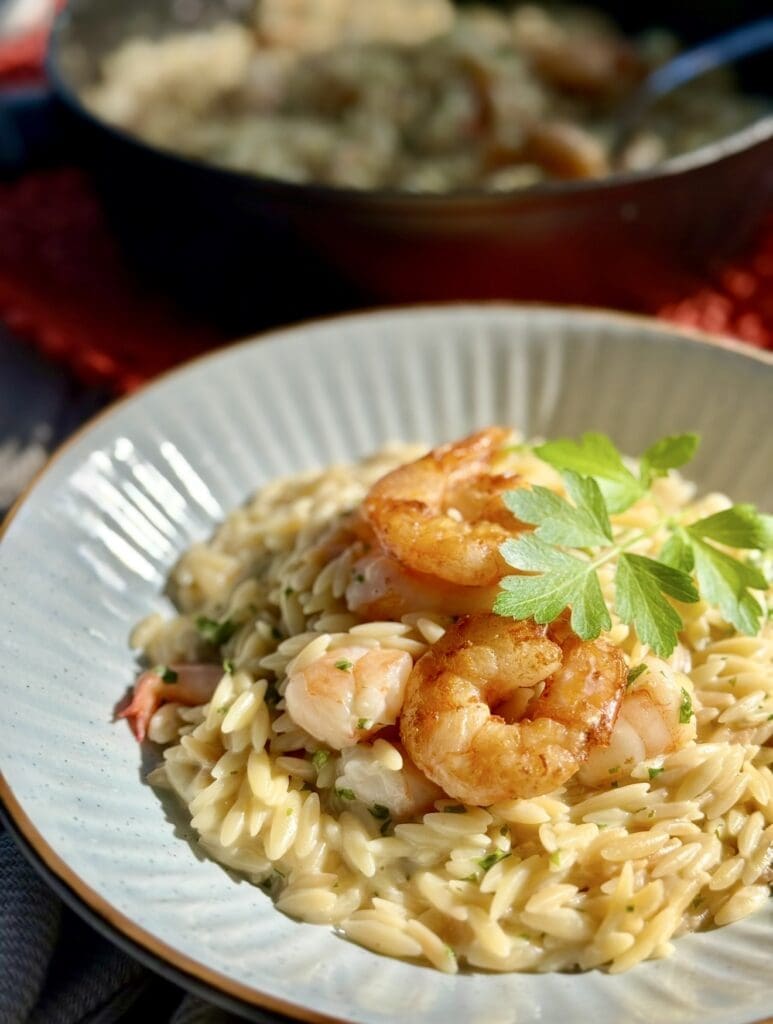 Shrimp Orzo