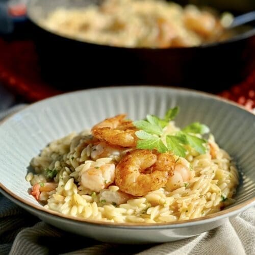Shrimp Orzo